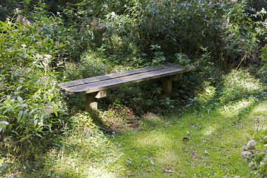 ormanda oturacak yer