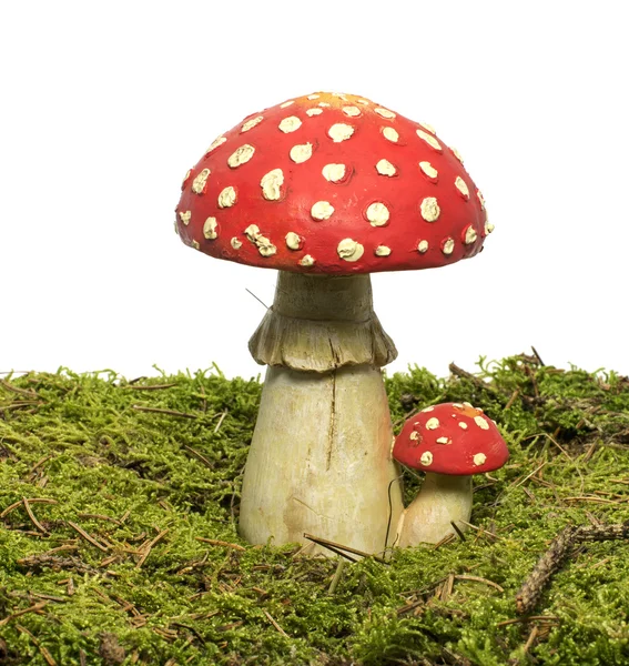 Roter und weißer Pilz — Stockfoto