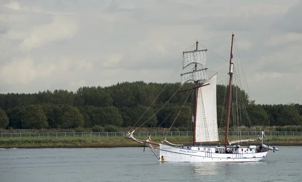 Race van klassiekers jonge professionals — Stockfoto