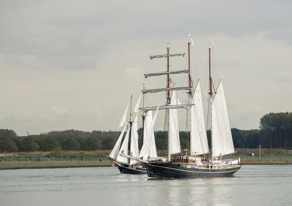 Gulden Leeuw sails out of the Rotterdam harbor — Stock Photo, Image