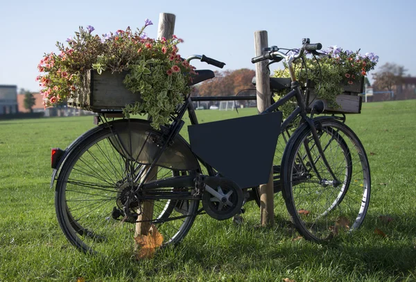 Gammal cykel med blommor — Stockfoto