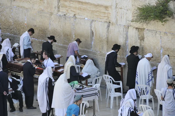 Jew man pray at the wester wall — Stock Photo, Image