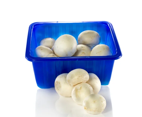 Blue box with mushrooms — Stock Photo, Image