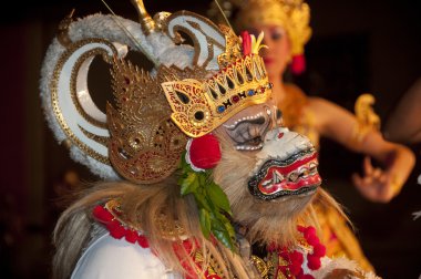 bali dansı