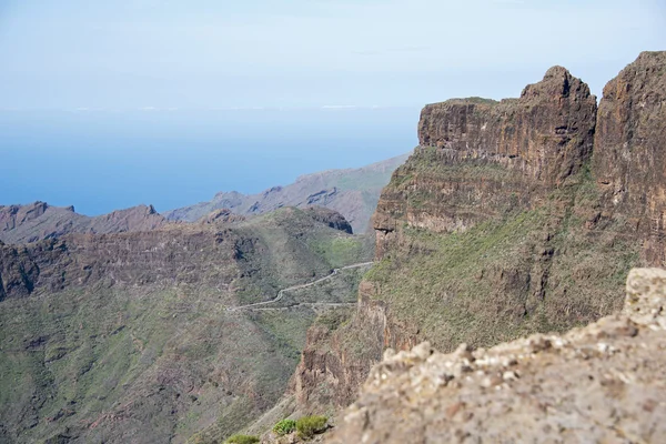 Naturaleza en Tenerife — Foto de Stock