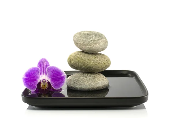Taşlar ve denge içinde orkide — Stok fotoğraf