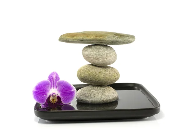 Piedras y orquídea en equilibrio —  Fotos de Stock