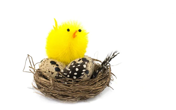 Yellow easter duck with eggs — Stock Photo, Image