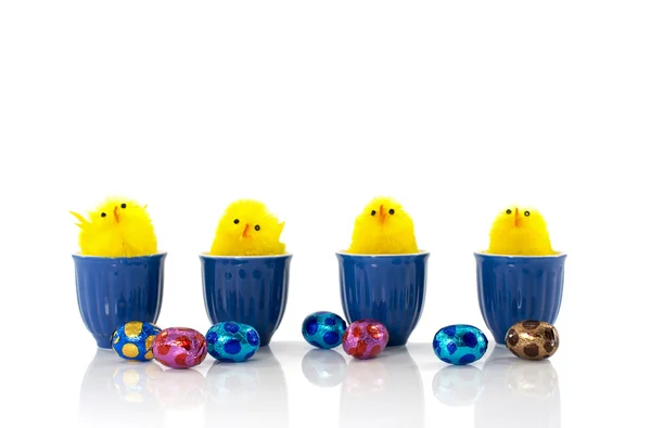 Easter ducks and eggs — Stock Photo, Image