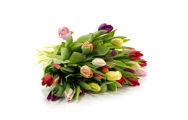 Bouquet de tulipes — Photo