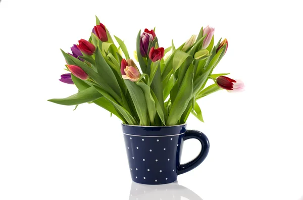 Bouquet de tulipes en tasse de café bleu — Photo