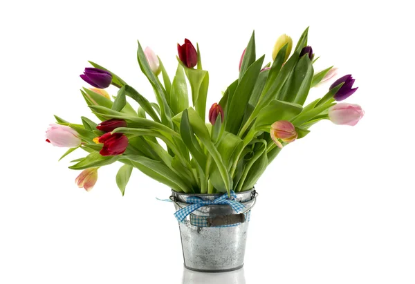 Bouquet of tulips in metal bucket — Stock Photo, Image