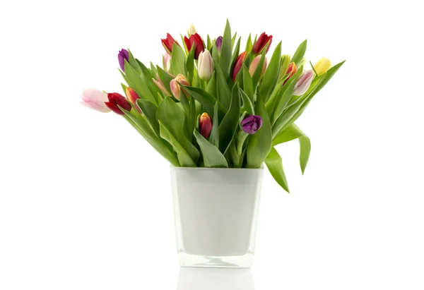 Bouquet of tulips in white vase — Stock Photo, Image