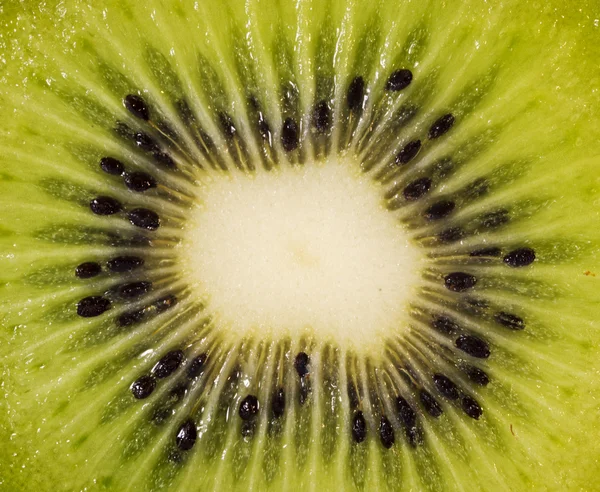 Primer plano kiwi fruta — Foto de Stock