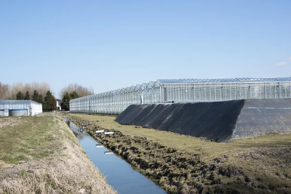 Greenhouse with water bassin — Stockfoto