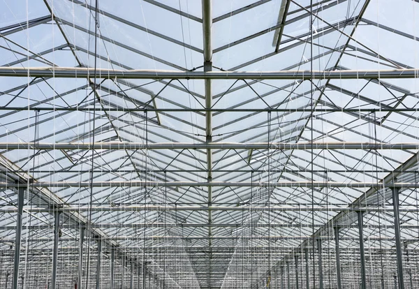 Greenhouse roof — Stock Photo, Image