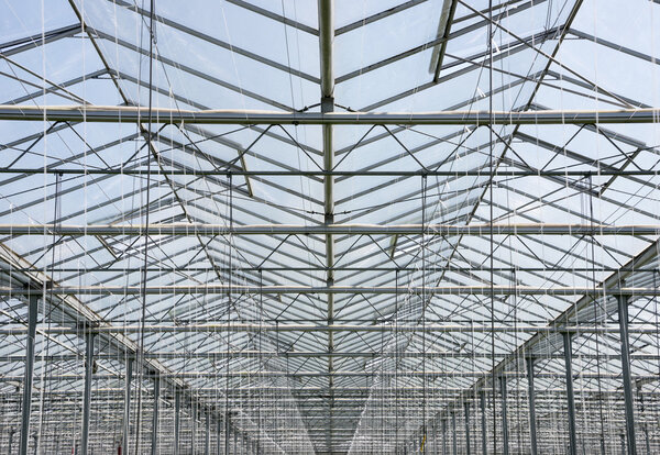 Glass roof of greenhouse