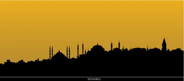 Istanbul skyline — Stock vektor