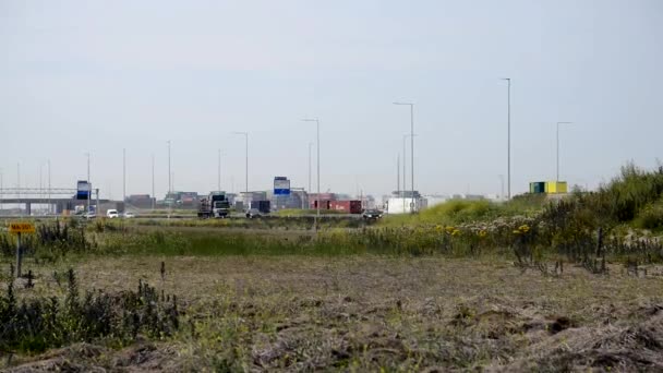 Kamionová doprava z Holandska v přístavu rotterdam — Stock video