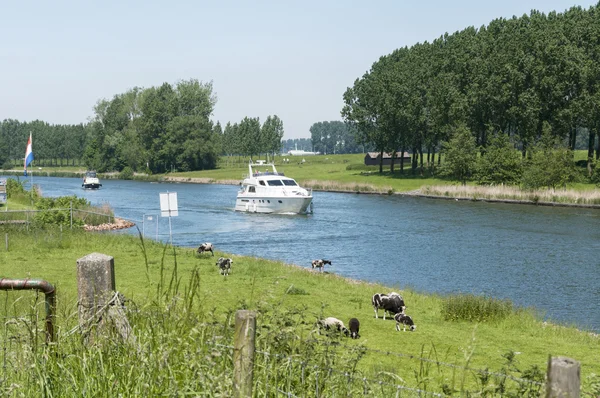 Hollanda'da nehir maas — Stok fotoğraf