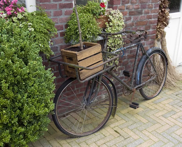 Bicicleta velha com caixa de madeira — Fotografia de Stock