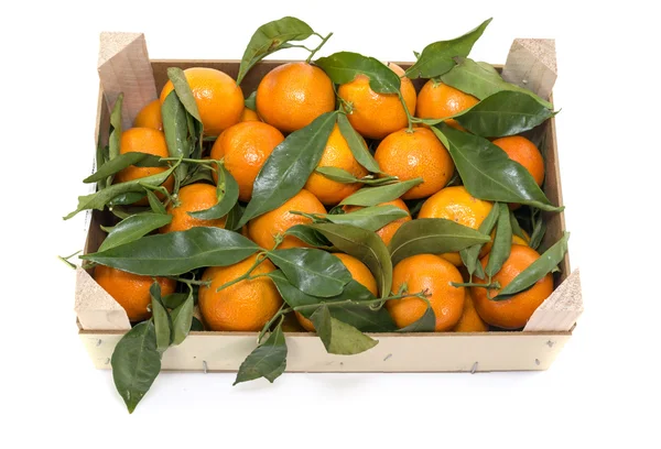 Caja de madera con mandarinas —  Fotos de Stock