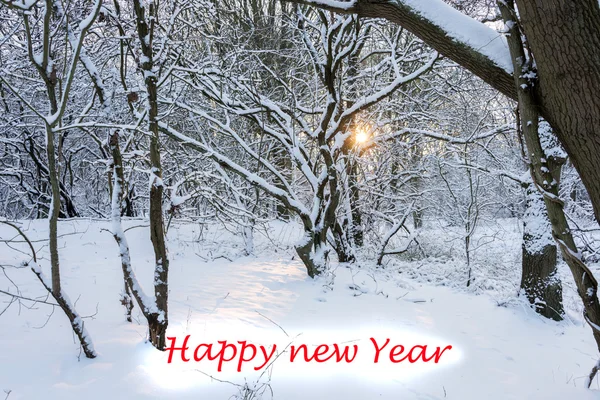 Сонячне світло в лісі і щасливий новий рік — стокове фото