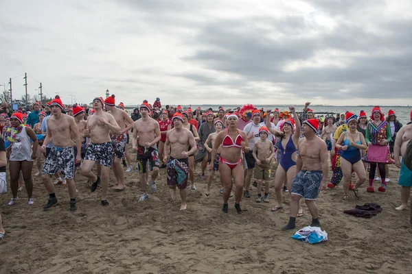 Traditional new year dip in holland — Stock Photo, Image