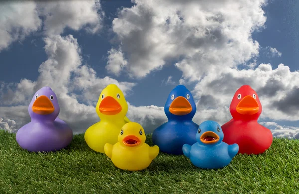 Speelgoed eenden en blauwe hemel — Stockfoto