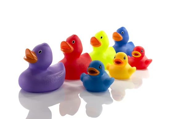 Toy rubber ducks isolated on white — Stock Photo, Image