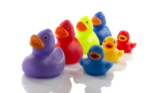 Toy rubber ducks isolated on white — Stock Photo, Image