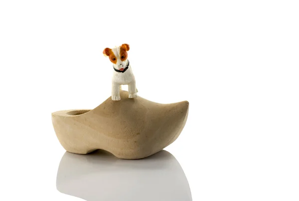 オランダの木靴の tou 犬 — ストック写真