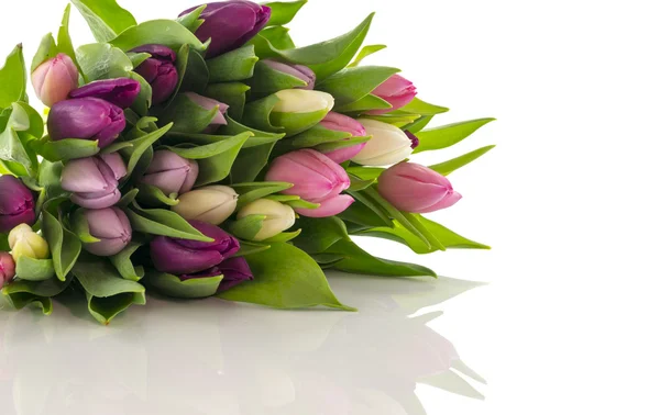 Bunch of tulips — Stock Photo, Image