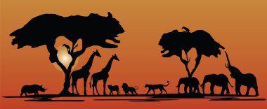 Afrika doğa