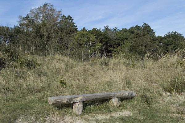 Bank gemaakt van bomen in het forest — Stockfoto