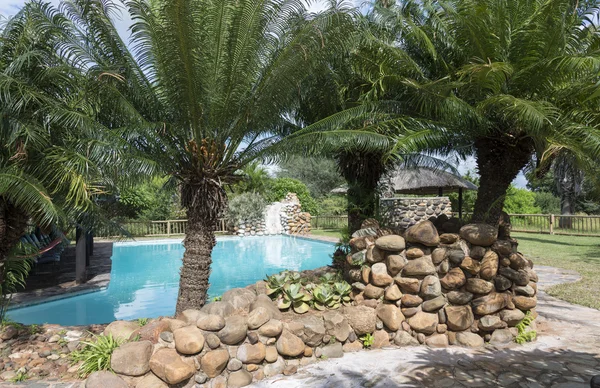 야자수와 열 대 수영장palmiye ağaçları ile tropikal Yüzme Havuzu — Stok fotoğraf