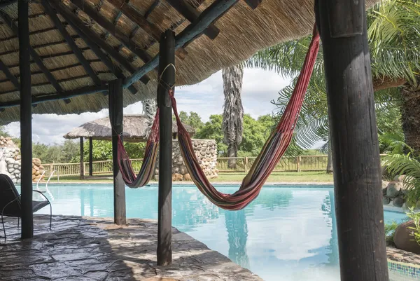 Tropický bazén s palmami — Stockfoto