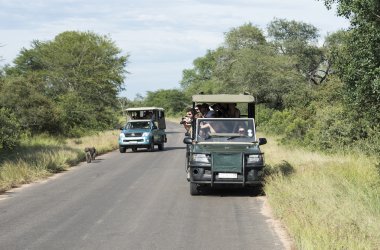insanlar Safari kruger Milli Parkı