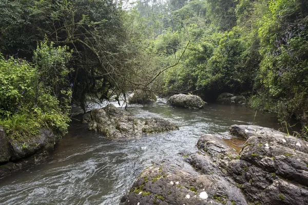 绿色森林丛林地区河中大石头 — 图库照片