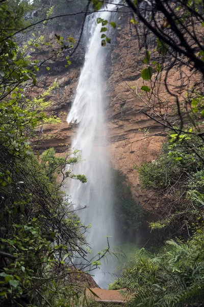 Arroyo solitario cae cascada cerca de Sabie —  Fotos de Stock