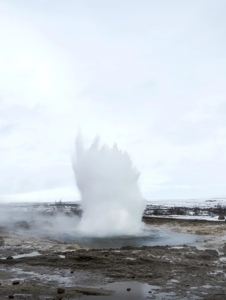 Geyser Islandia —  Fotos de Stock