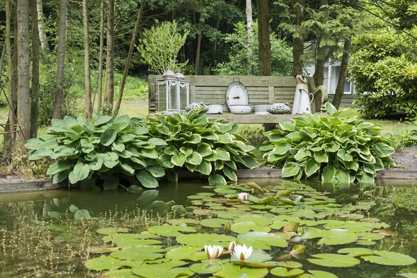Vijver met water lily hosta planten — Stockfoto