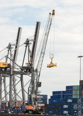 dutch Harbor büyük Vinçler