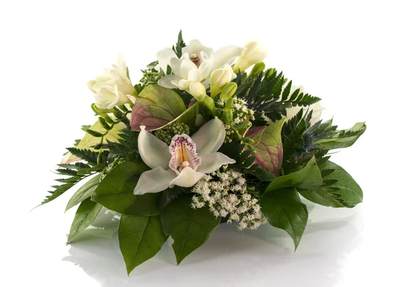 Lilys ve Frezya aranjman çiçek — Stok fotoğraf