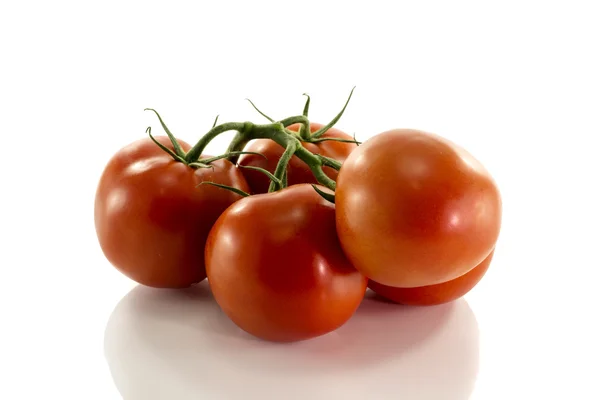 Bouquet de tomates rouges — Photo