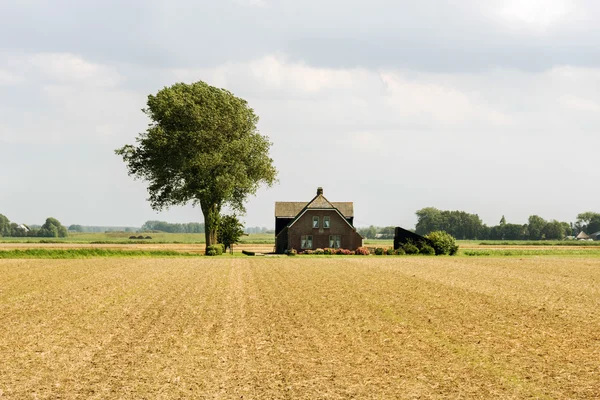 Farm in field netherlands — Stock Photo, Image