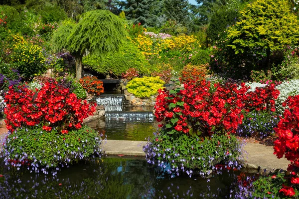 Flores y cascada en un jardín en Holanda —  Fotos de Stock