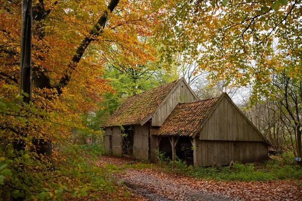 Oude boerderij in een herfstbos in Holland — Stockfoto