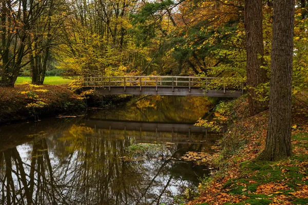 Sonbahar ormanlarındaki ahşap köprü doğada günah işliyor. — Stok fotoğraf