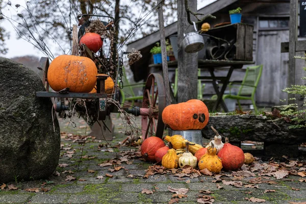 Autumn Scene Old Pumpkins Old Wagon Wheel Large Boulder — Stock Photo, Image